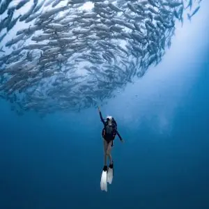 Advanced Open Water Course  + 1 Day Sipadan
